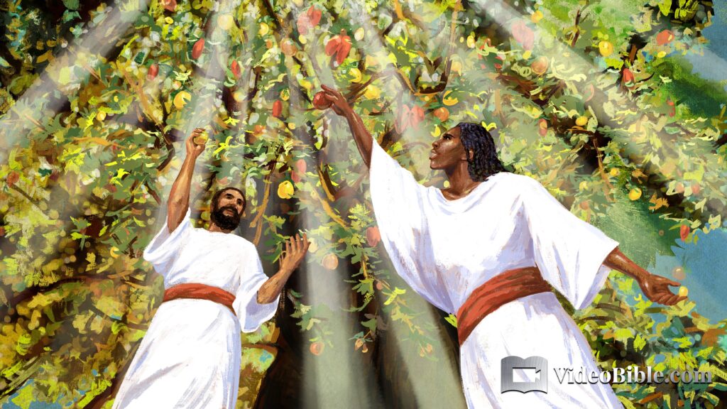 White man and black woman picking fruit from tree of life in paradise of God